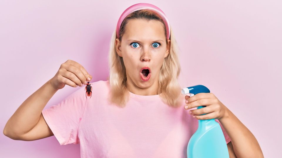 �������� ������ ���� �����: ��� ����-�������� ������� ���������