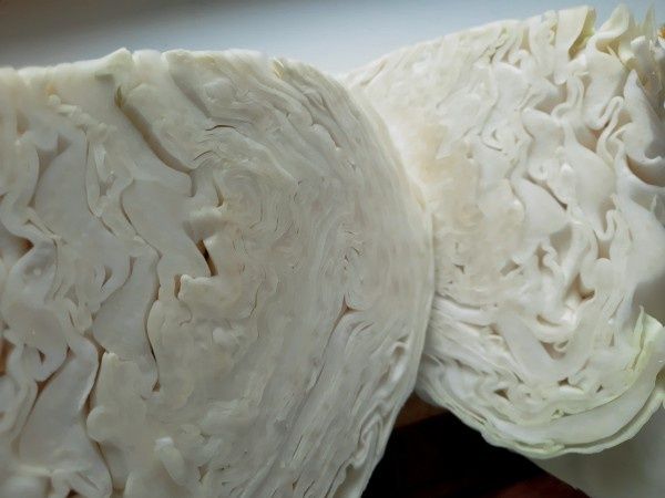 ��� ������� ���������� ��������� � �������� �� ������