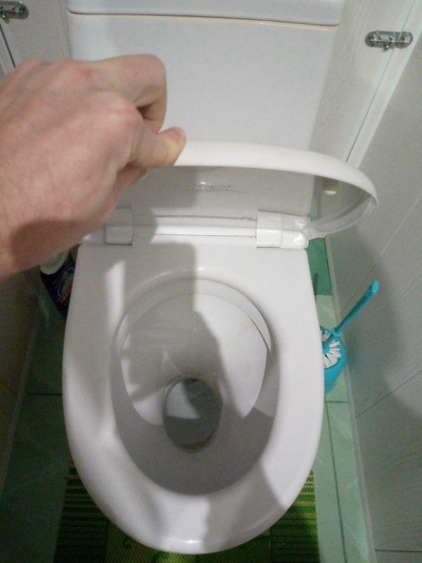 ��� ���������� �� �������� � �������: ������ � ��������