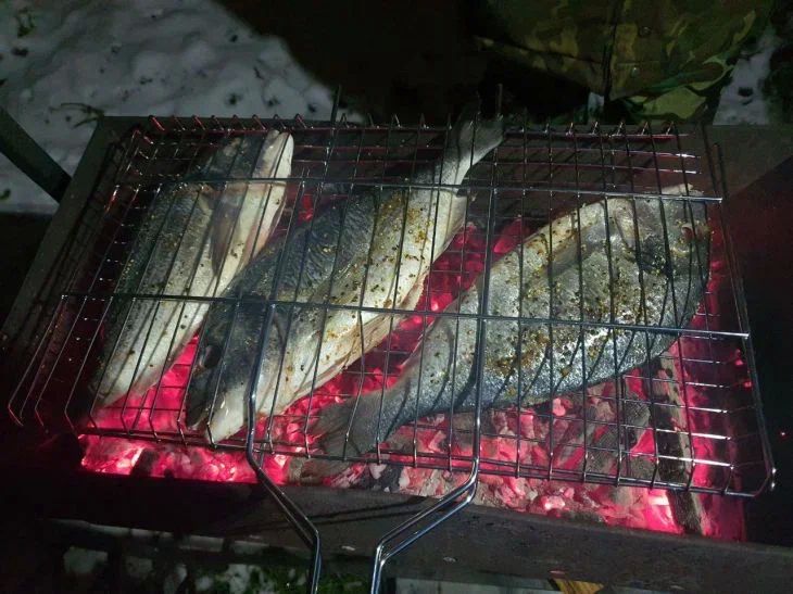 ����� ������ ������ � ���� �������� ��������: ���� ������� ���������� �������