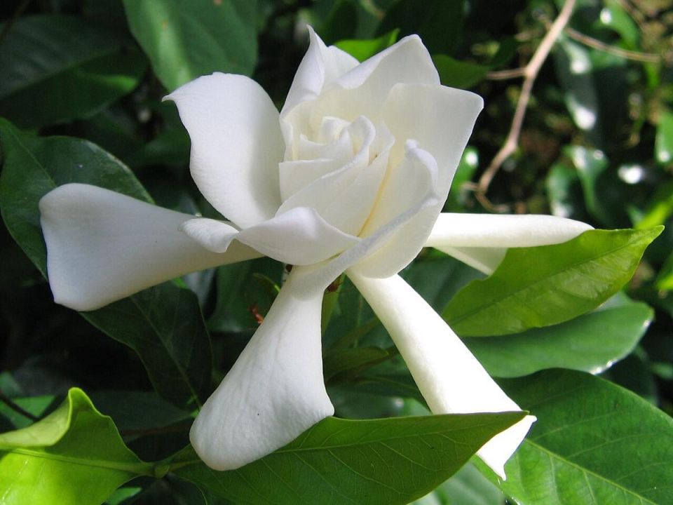 ��������: ��� ������� ��������� ������ ��� � ����� ����