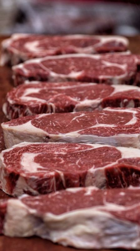 ����� ���� ���� ����� ��������: ���� � ����������