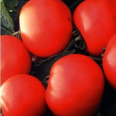 ����� �����: ������������� ����� ������� � ������� �������