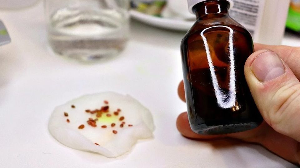 ����� �� �������: ������ ����� ���� ����� ����� ��� ����������� �����