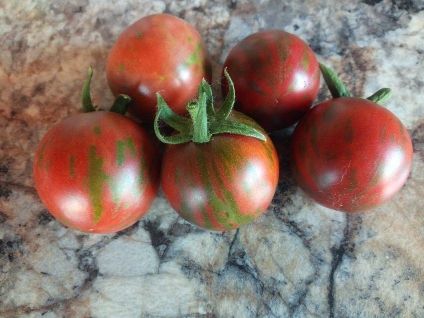 Томат Лила Сари: уникальный сорт с высоким урожаем и удивительным вкусом