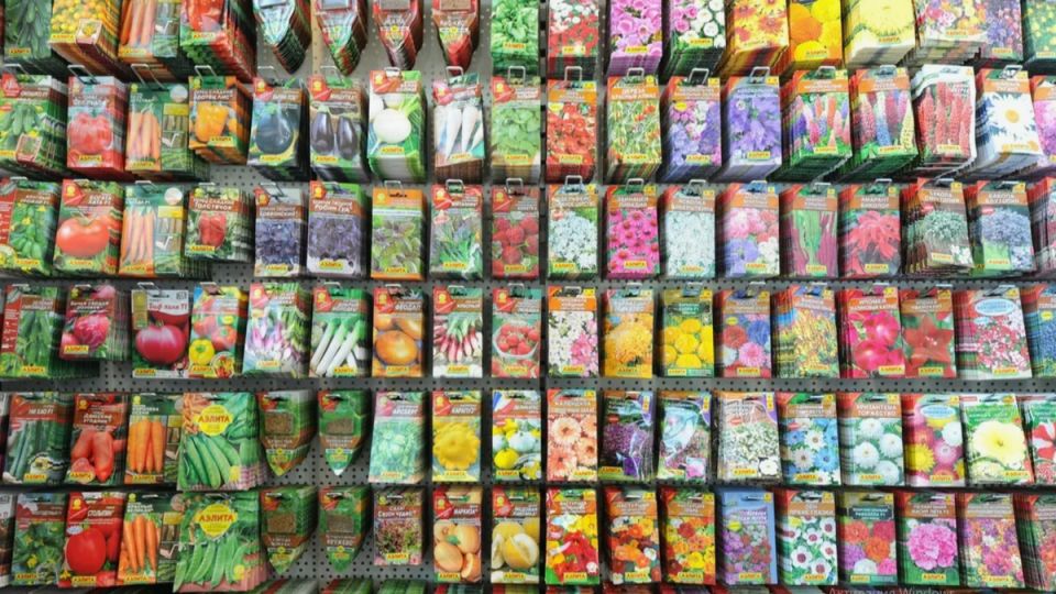 �������� ������ ������������ ����� � 2026 ����: ��� �� ������� �� ������ ����������