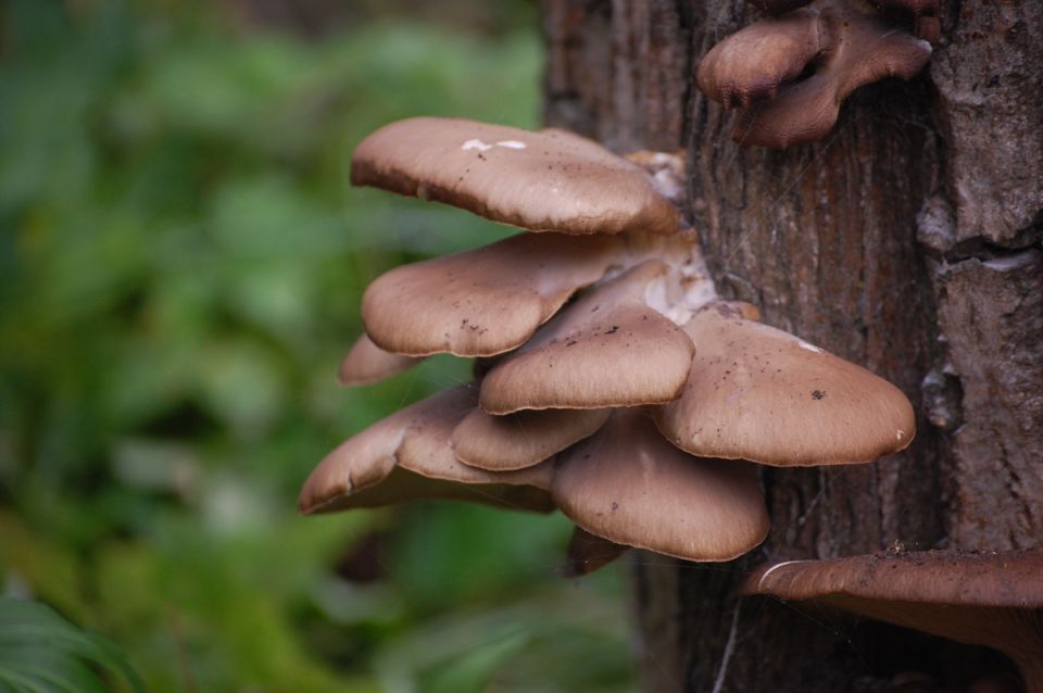 ��� ����� ������� ������� � ����� �������