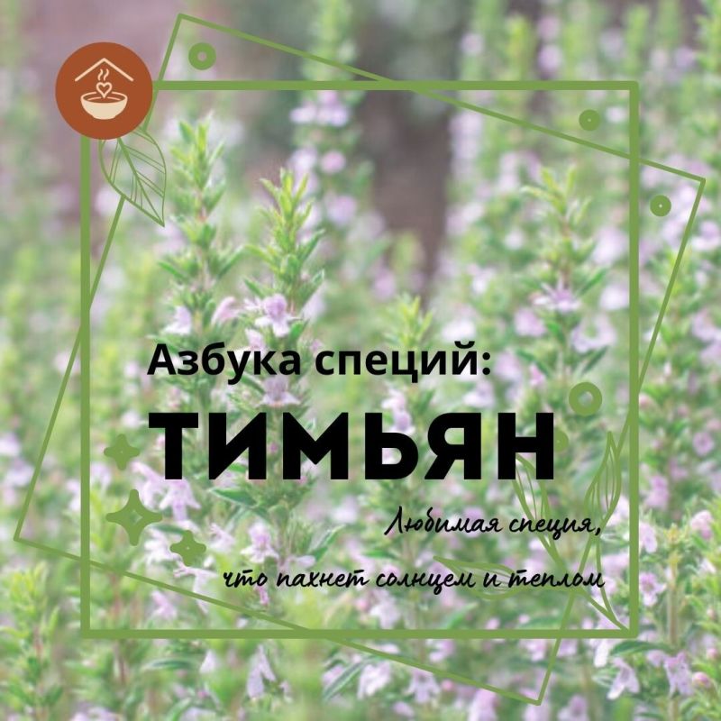 Тимьян: Специя, Привносящая Тепло и Солнце в Ваши Блюда