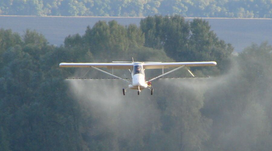 Как защититься от клещей: советы и реальные истории