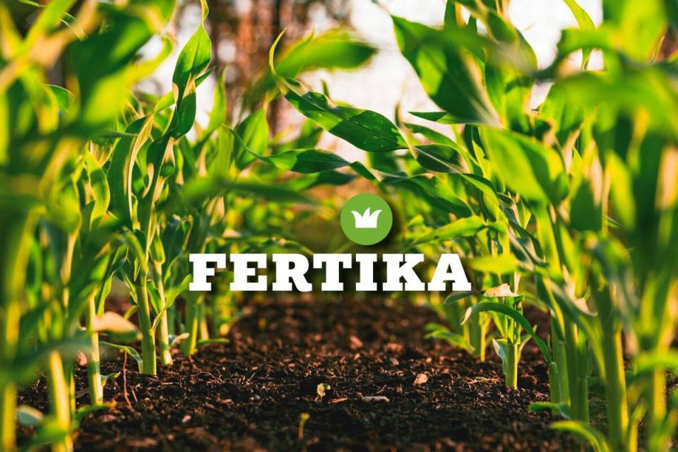 ��� ����������� ������ ��� ��������� ������������