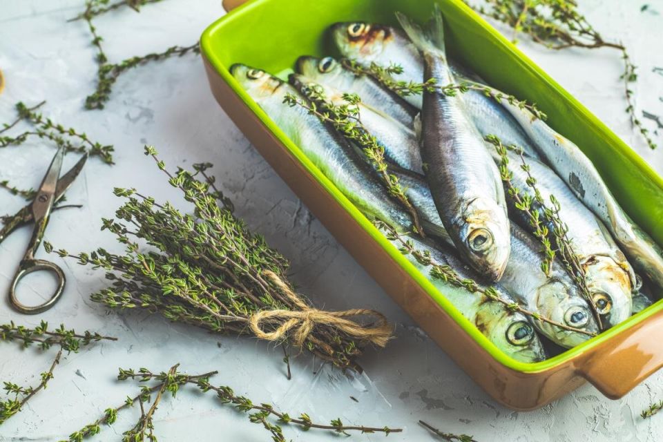 ������ ��������: ������ ������� ������ ����� ������ ������ �������