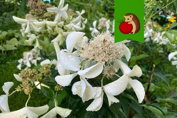 ���� �� ���������� ������: ��� ����������� �������� � ����