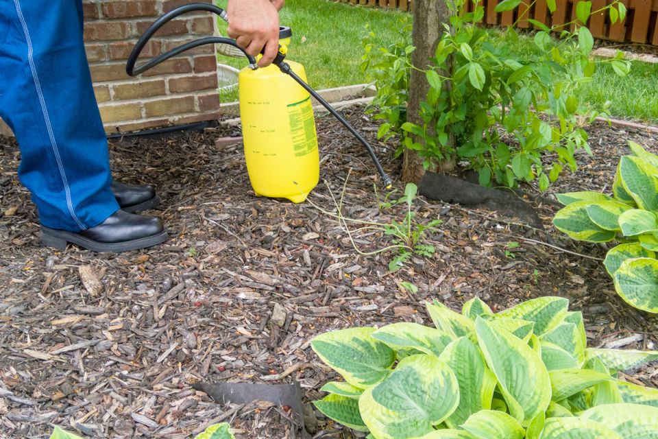 ������ ��������� �� �����������: �������� ������ � ��������� �������